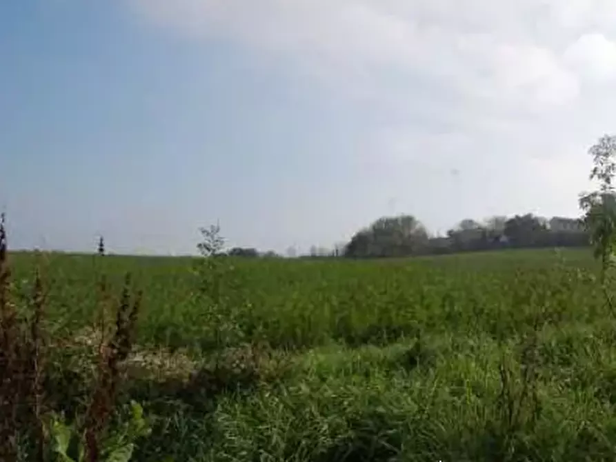 Immagine 19 di Terreno edificabile in vendita  in Via Cerbara a Terre Roveresche