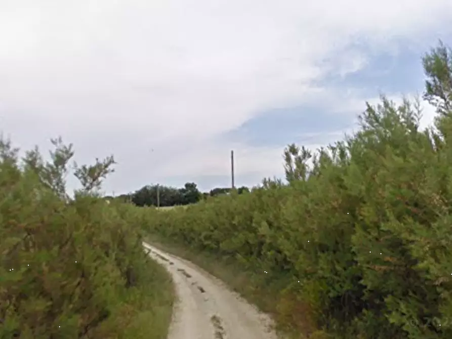 Immagine 20 di Terreno edificabile in vendita  in Via Cerbara a Terre Roveresche