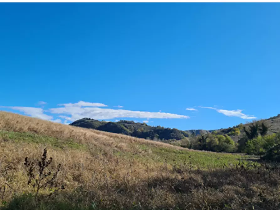 Immagine 1 di Terreno agricolo in vendita  in Via Cavaioni a Bologna