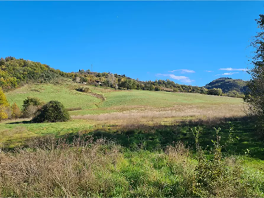 Immagine 3 di Terreno agricolo in vendita  in Via Cavaioni a Bologna