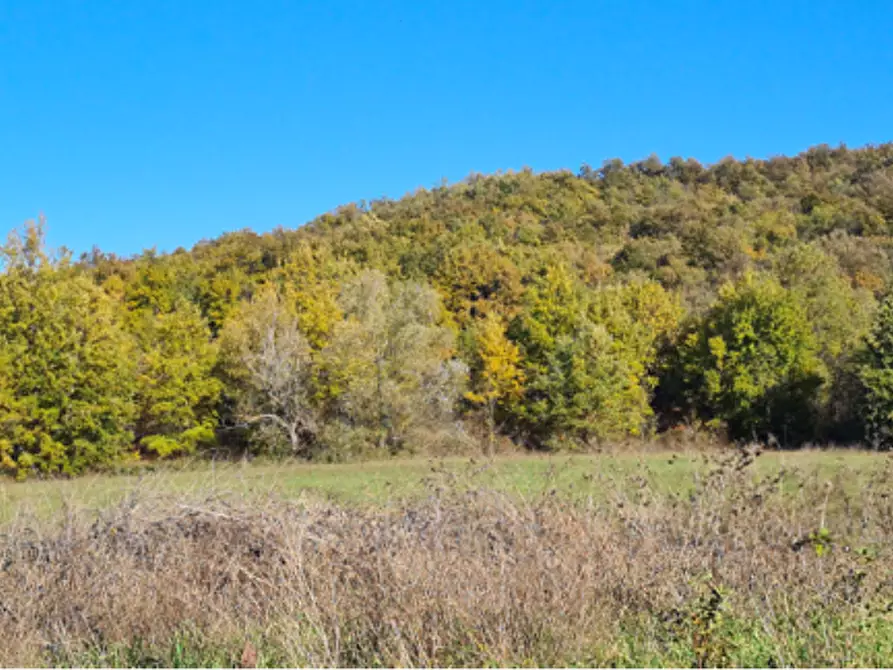 Immagine 4 di Terreno agricolo in vendita  in Via Cavaioni a Bologna