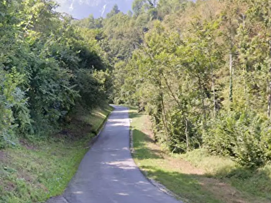 Immagine 6 di Terreno edificabile in vendita  in Via Bisighini a Valli Del Pasubio