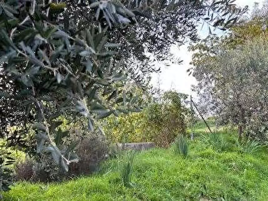 Immagine 4 di Terreno edificabile in vendita  in Via Arnaldo Merlini a Terre Roveresche