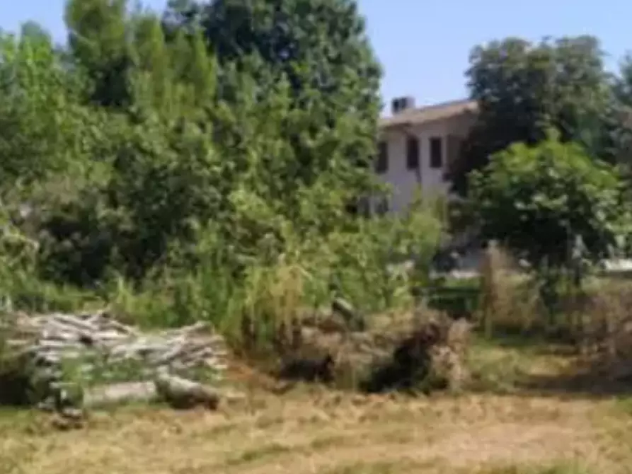 Immagine 2 di Terreno agricolo in vendita  in Ortigara Inferiore a Pozzoleone