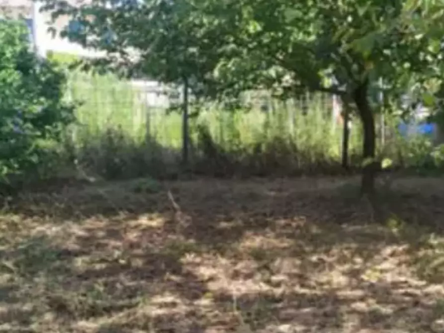 Immagine 4 di Terreno agricolo in vendita  in Ortigara Inferiore a Pozzoleone