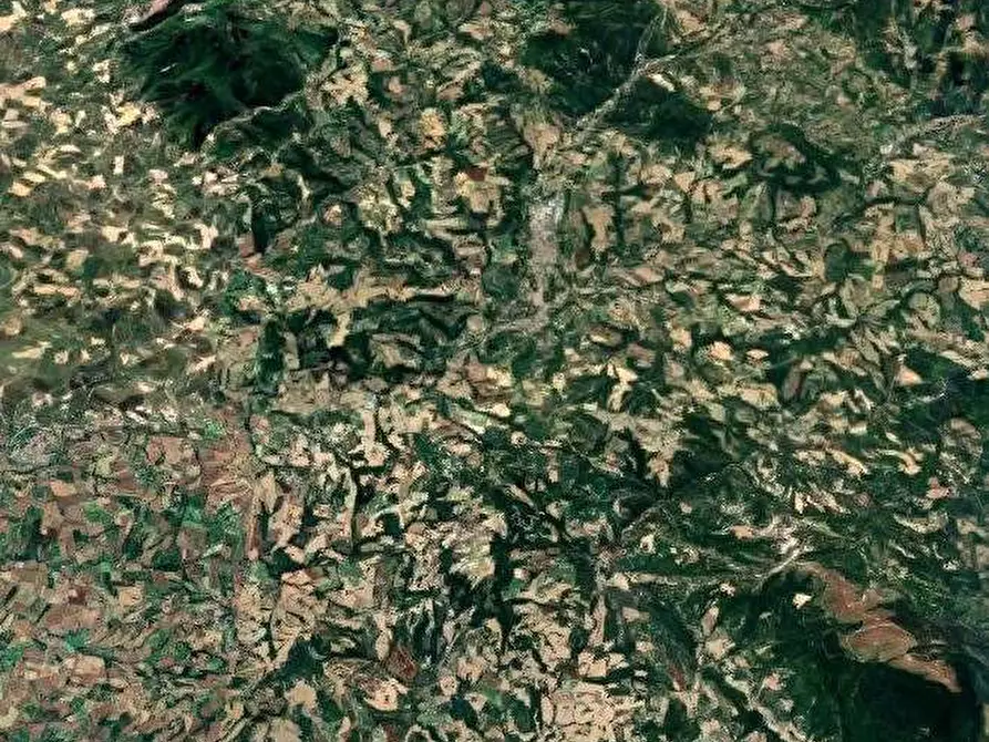 Immagine 8 di Appartamento in vendita  in Via Angel Dalfuoco a Pergola