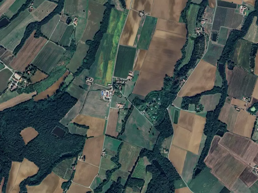 Immagine 2 di Rustico / casale in vendita  in Localita' Tollara a San Giorgio Piacentino