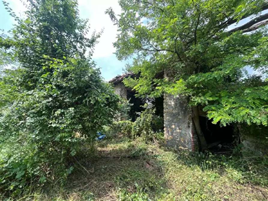Immagine 3 di Rustico / casale in vendita  in Località Sisera a Gazzola