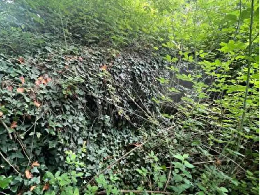 Immagine 6 di Rustico / casale in vendita  in Località Sisera a Gazzola