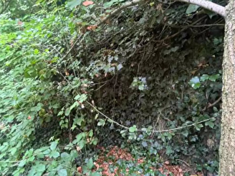 Immagine 8 di Rustico / casale in vendita  in Località Sisera a Gazzola