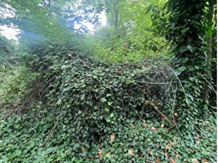 Immagine 9 di Rustico / casale in vendita  in Località Sisera a Gazzola