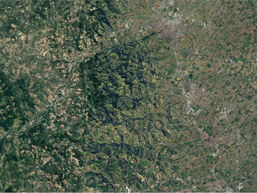 Immagine 15 di Casa indipendente in vendita  in via Palareto a Mercato Saraceno