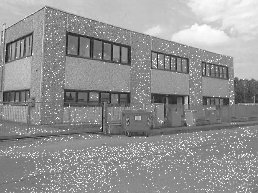 Immagine 1 di Capannone industriale in vendita  in Via della Canapa a Cento