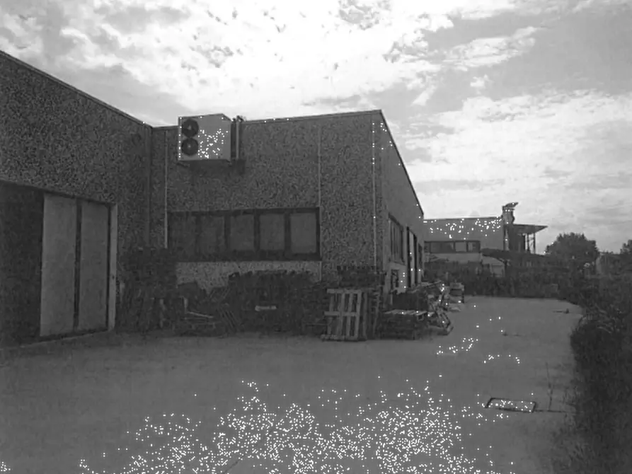 Immagine 4 di Capannone industriale in vendita  in Via della Canapa a Cento
