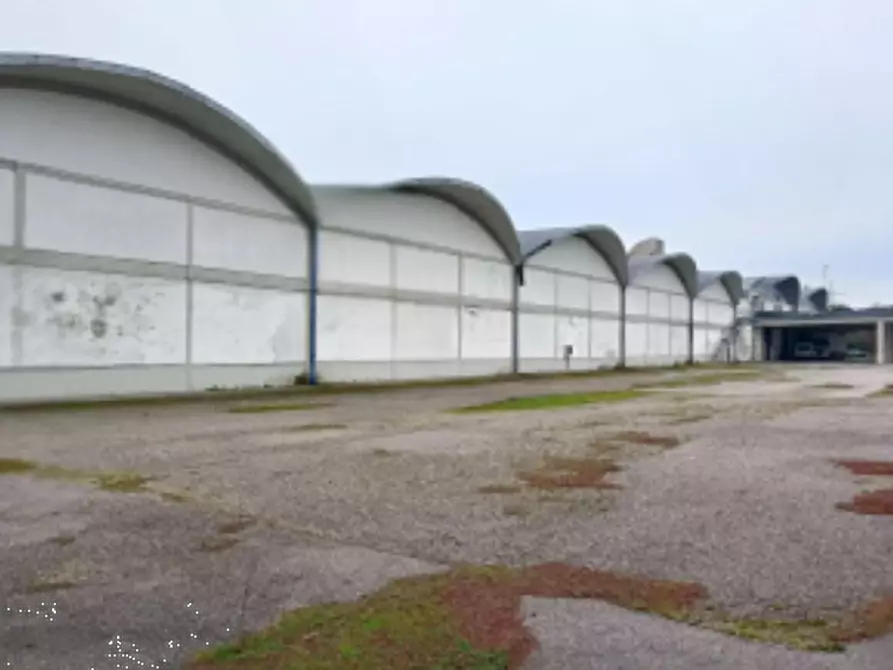 Immagine 3 di Capannone industriale in vendita  in Via C. Eppi a Portomaggiore