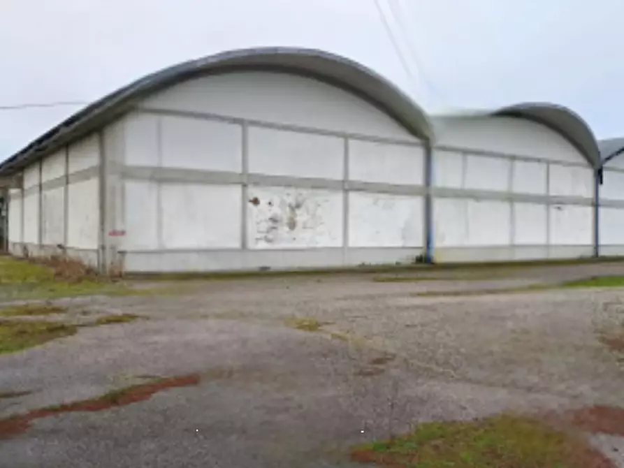 Immagine 4 di Capannone industriale in vendita  in Via C. Eppi a Portomaggiore