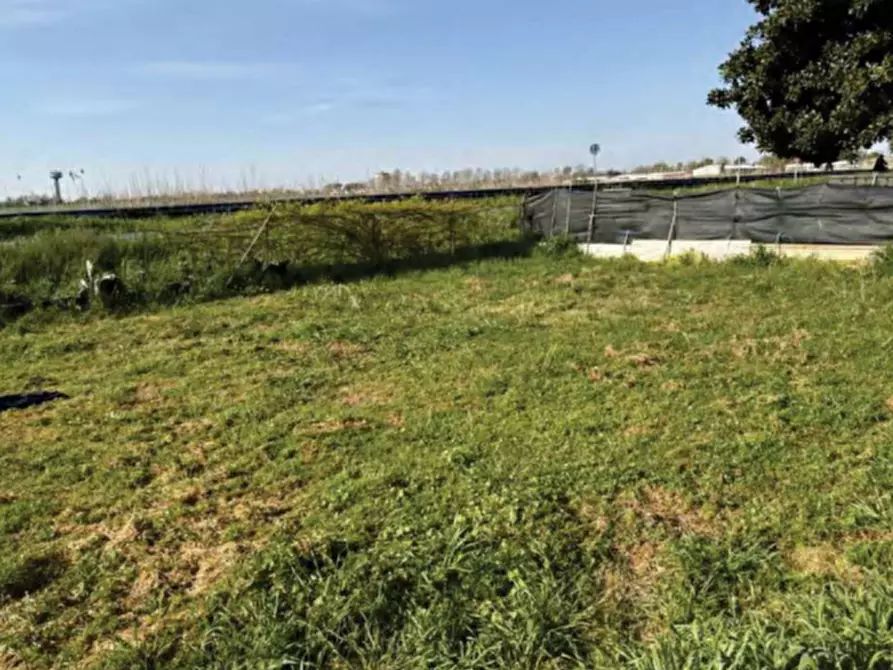 Immagine 7 di Casa indipendente in vendita  in Strada Jolanda Bonaglia a Jolanda Di Savoia