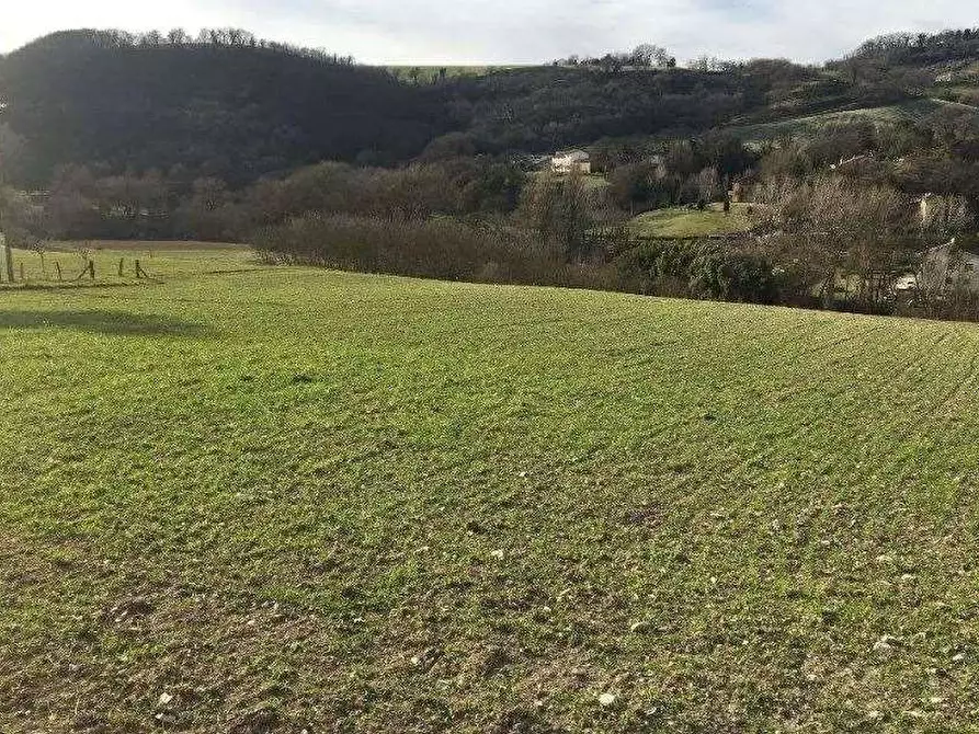 Immagine 5 di Azienda agricola in vendita  in Località Valrea a Pergola