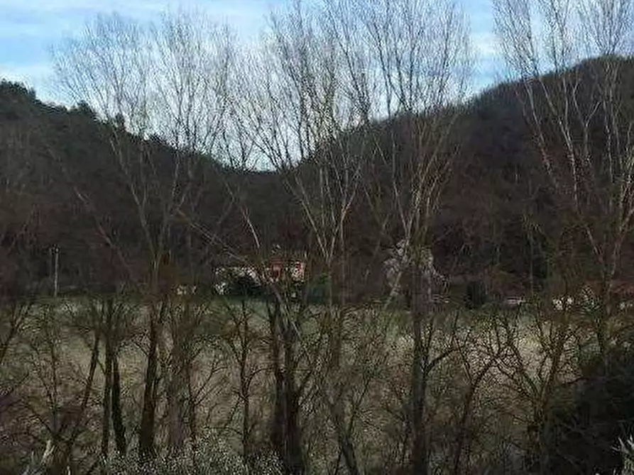 Immagine 8 di Azienda agricola in vendita  in Località Valrea a Pergola