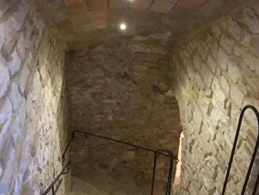 Immagine 11 di Azienda agricola in vendita  in Località Valrea a Pergola