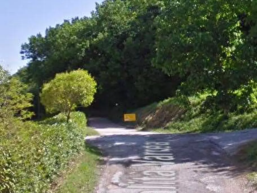 Immagine 13 di Azienda agricola in vendita  in Località Valrea a Pergola