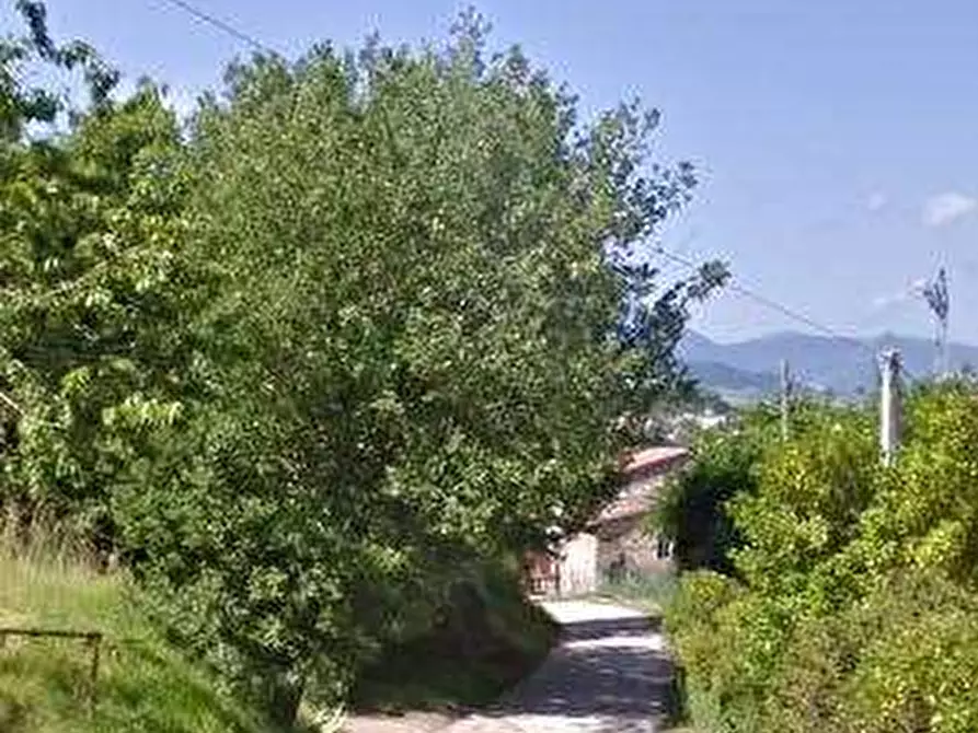 Immagine 15 di Azienda agricola in vendita  in Località Valrea a Pergola