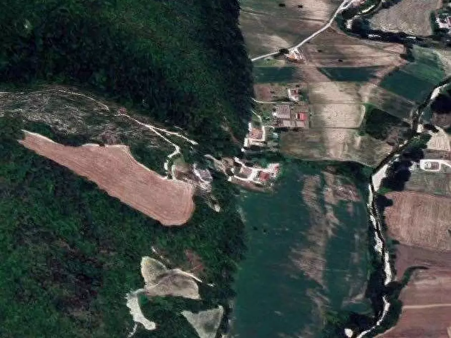 Immagine 17 di Azienda agricola in vendita  in Località Valrea a Pergola