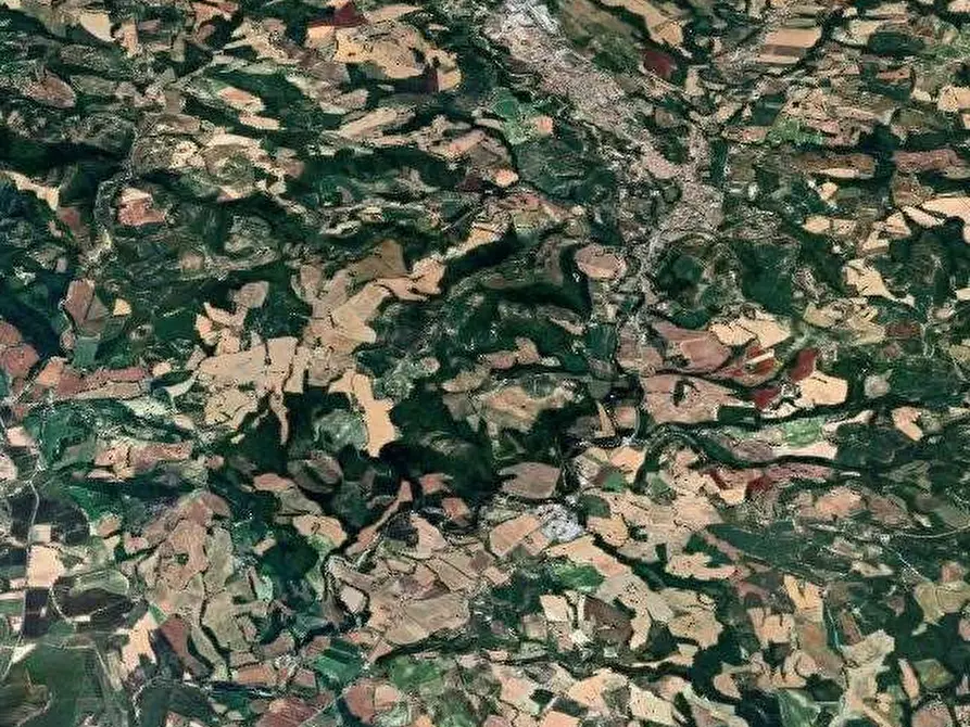 Immagine 19 di Azienda agricola in vendita  in Località Valrea a Pergola