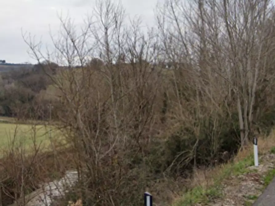 Immagine 8 di Appartamento in vendita  in Via Castellarso Ete a Belmonte Piceno