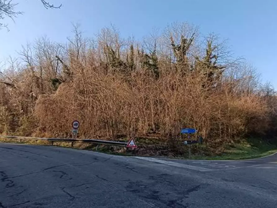 Immagine 2 di Terreno agricolo in vendita  in Frazione Brusaschetto a Camino