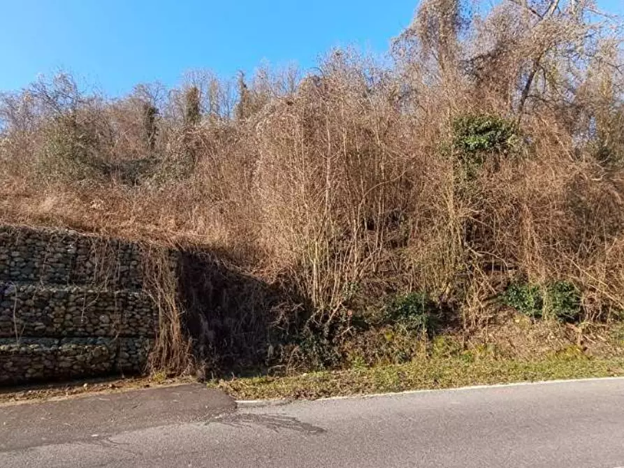 Immagine 1 di Terreno agricolo in vendita  in Frazione Brusaschetto a Camino