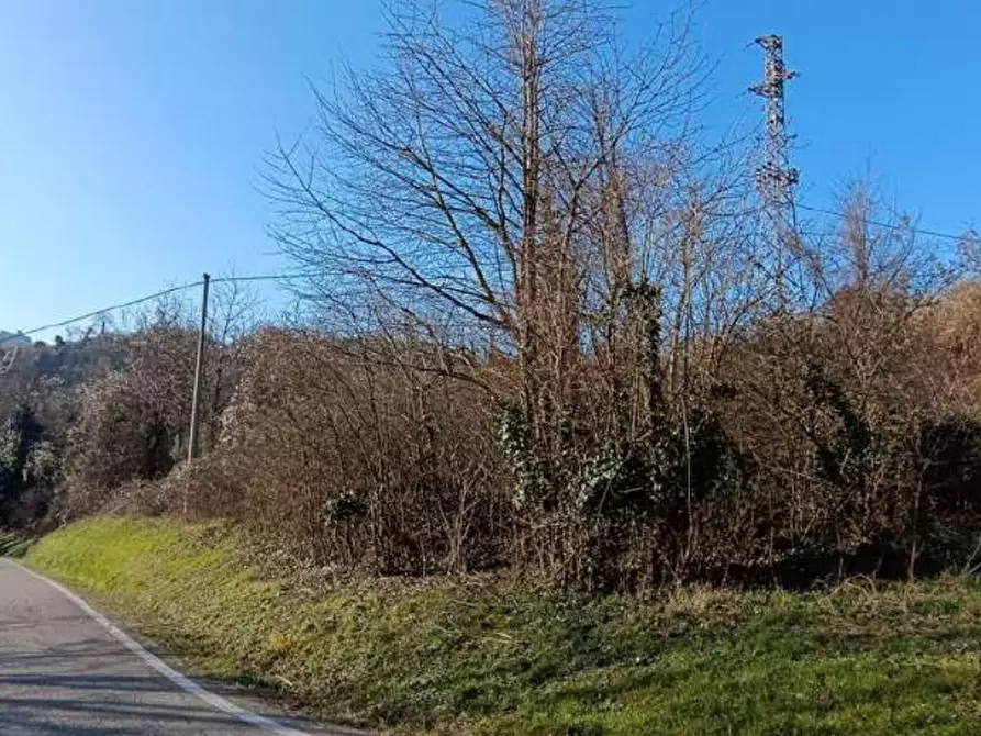 Immagine 3 di Terreno agricolo in vendita  in Frazione Brusaschetto a Camino