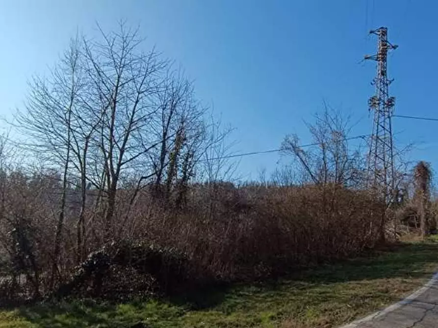 Immagine 4 di Terreno agricolo in vendita  in Frazione Brusaschetto a Camino