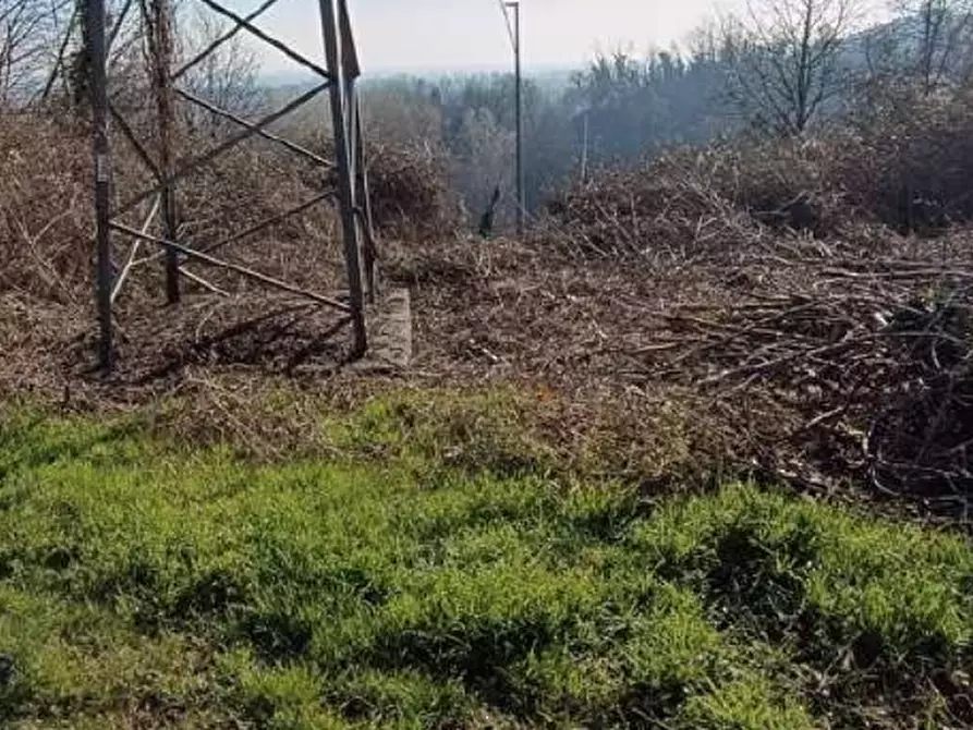 Immagine 5 di Terreno agricolo in vendita  in Frazione Brusaschetto a Camino