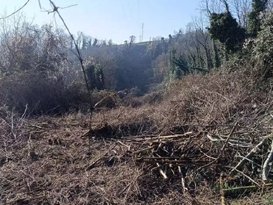 Immagine 6 di Terreno agricolo in vendita  in Frazione Brusaschetto a Camino