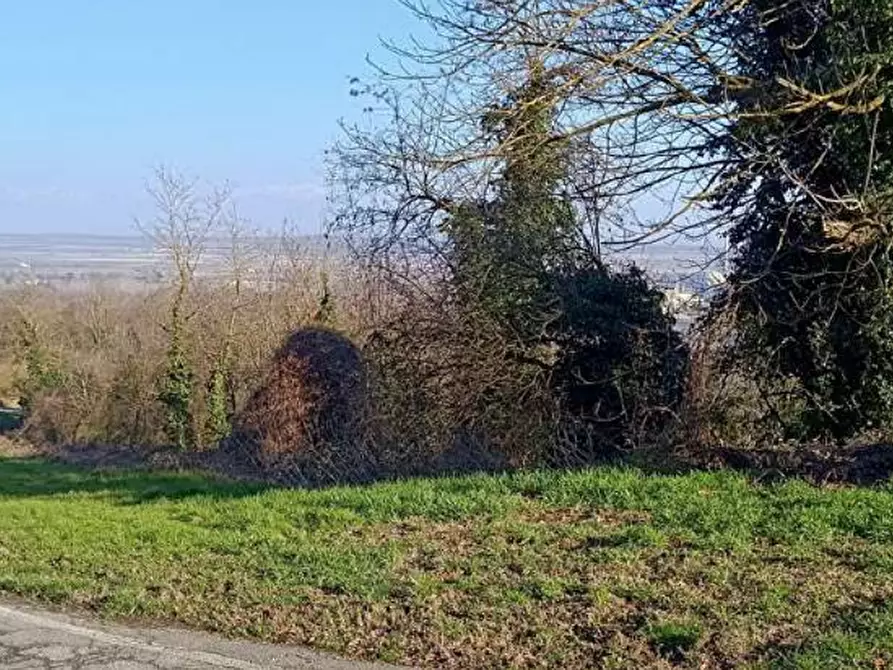 Immagine 7 di Terreno agricolo in vendita  in Frazione Brusaschetto a Camino