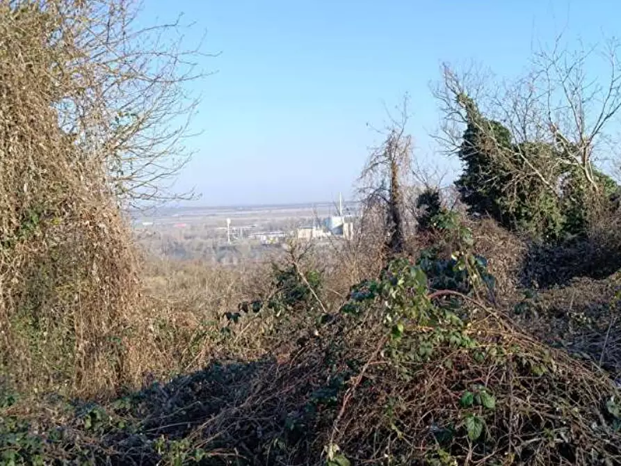 Immagine 8 di Terreno agricolo in vendita  in Frazione Brusaschetto a Camino