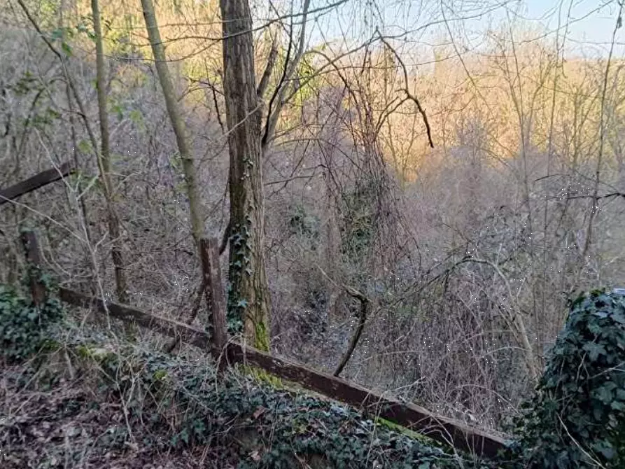 Immagine 9 di Terreno agricolo in vendita  in Frazione Brusaschetto a Camino