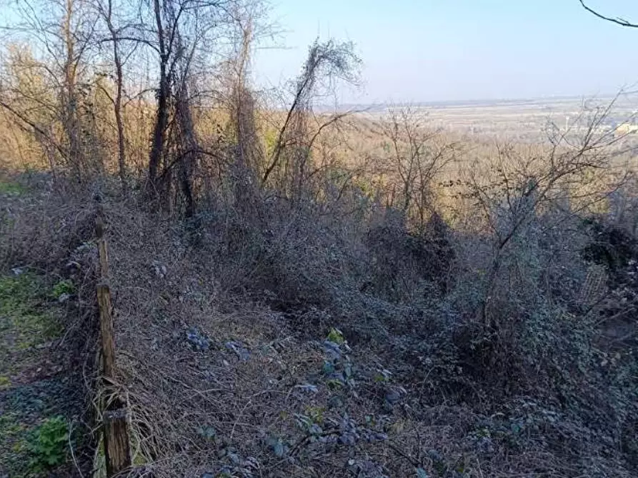 Immagine 10 di Terreno agricolo in vendita  in Frazione Brusaschetto a Camino