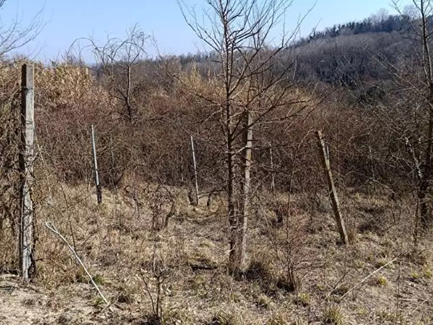 Immagine 11 di Terreno agricolo in vendita  in Frazione Brusaschetto a Camino