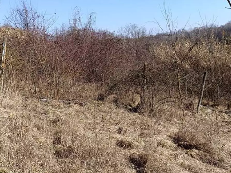 Immagine 12 di Terreno agricolo in vendita  in Frazione Brusaschetto a Camino