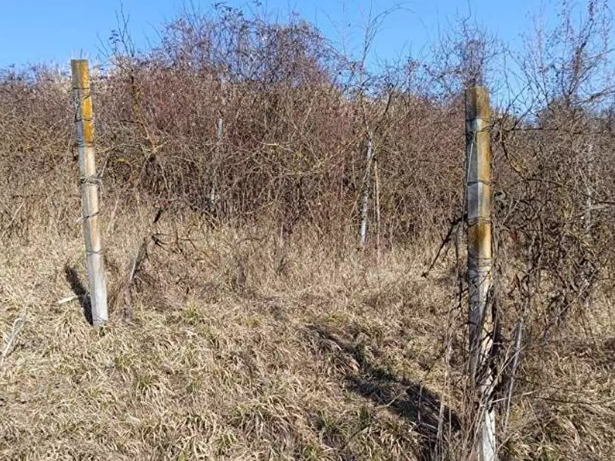Immagine 14 di Terreno agricolo in vendita  in Frazione Brusaschetto a Camino