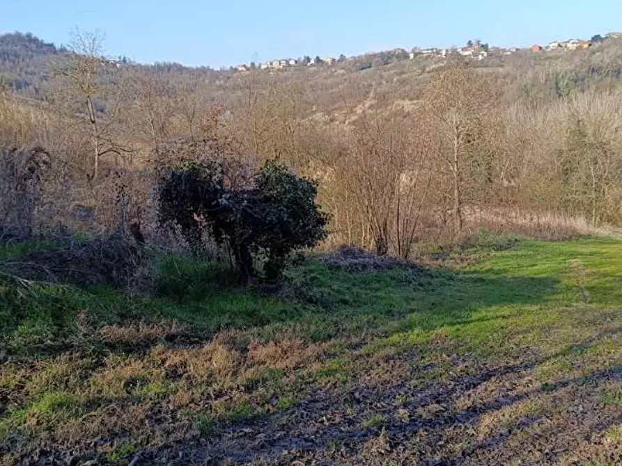 Immagine 18 di Terreno agricolo in vendita  in Frazione Brusaschetto a Camino
