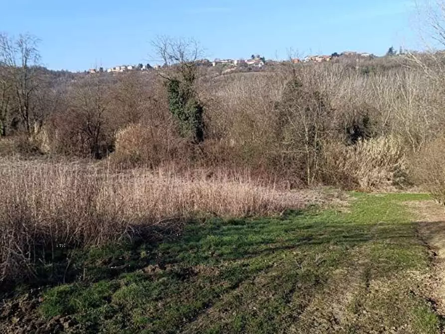 Immagine 19 di Terreno agricolo in vendita  in Frazione Brusaschetto a Camino