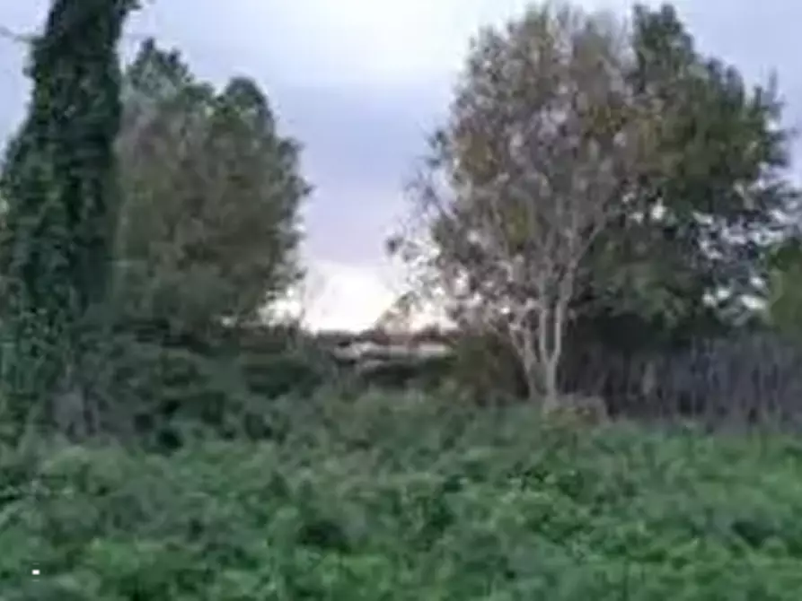 Immagine 2 di Terreno agricolo in vendita  in Contrada Guazzetti  a Montegranaro