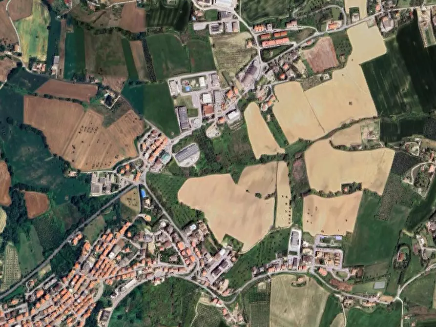 Immagine 3 di Terreno agricolo in vendita  in Contrada Guazzetti  a Montegranaro