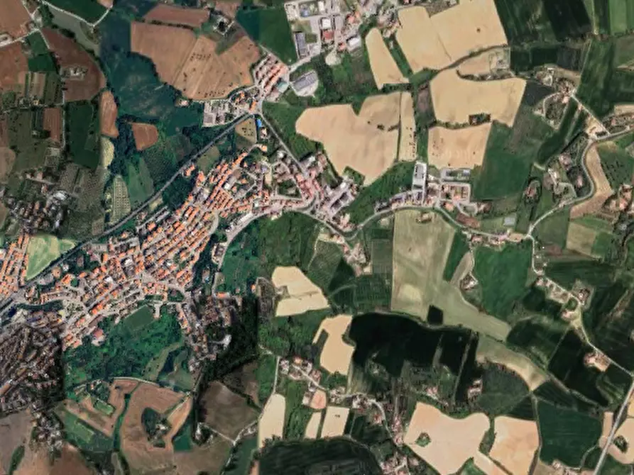 Immagine 4 di Terreno agricolo in vendita  in Contrada Guazzetti  a Montegranaro