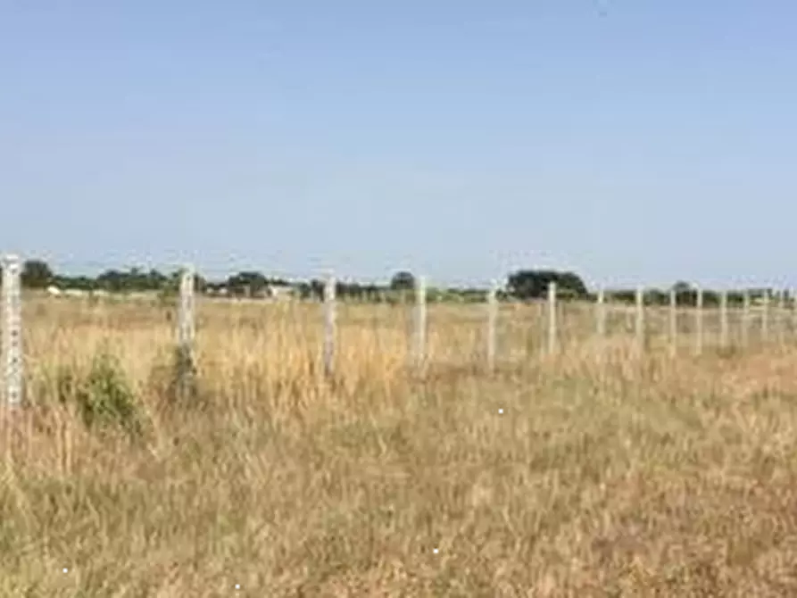 Immagine 2 di Terreno agricolo in vendita  in Via Danimarca a Pomezia