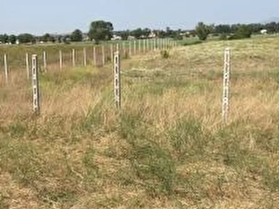 Immagine 4 di Terreno agricolo in vendita  in Via Danimarca a Pomezia