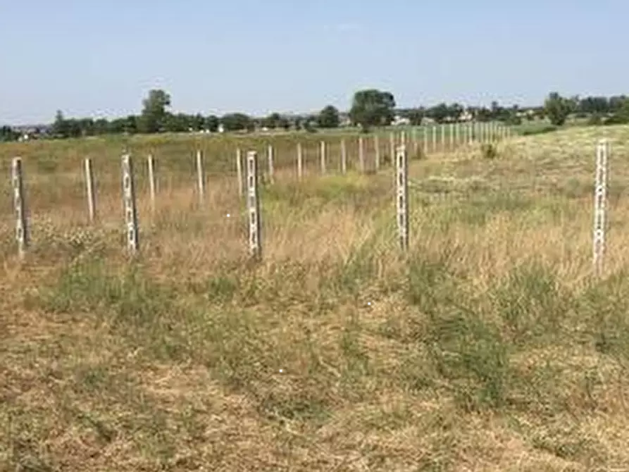 Immagine 5 di Terreno agricolo in vendita  in Via Danimarca a Pomezia